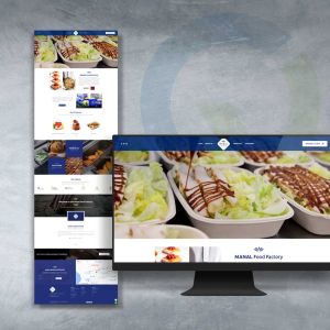 تصميم موقع الكتروني لمصنع المنال قطر